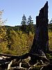 DSC05929.jpg